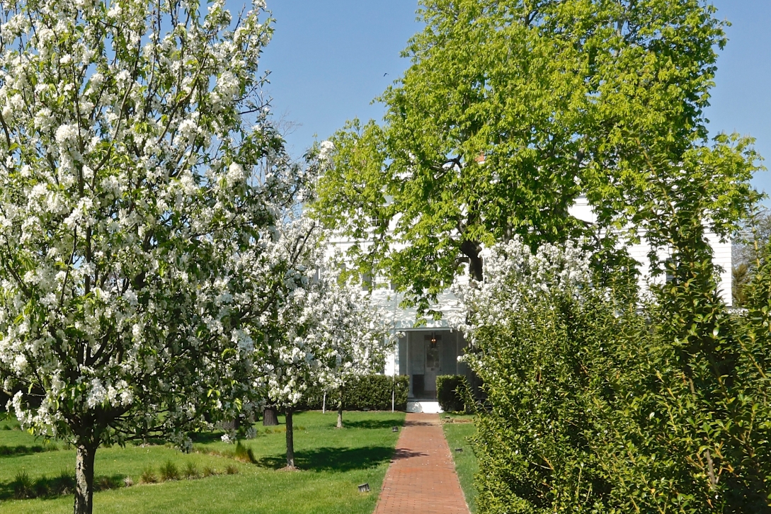 The Topping Rose House